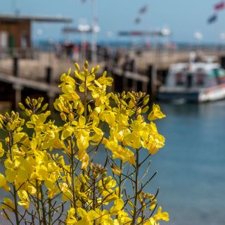 22. Mai 2022-helgoland-13.jpg